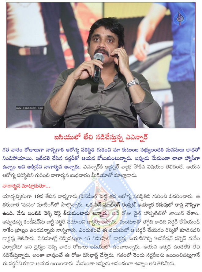 anr health surviving,akkineni nageswararao happy with health,anr,nagarjuna pressmeet about anr health  anr health surviving, akkineni nageswararao happy with health, anr, nagarjuna pressmeet about anr health